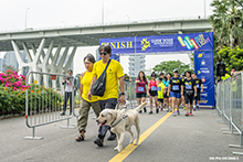 runforlight2017
